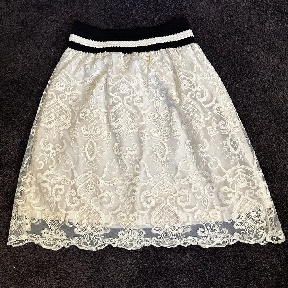 Jealous Tomato Lace Skirt